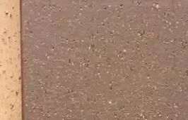 透水磚有什么特點(diǎn)呢？